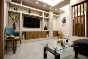 Luxurious apartment 10' from city center